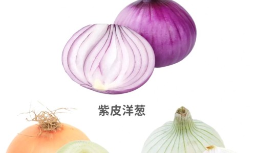 排骨山药冬瓜汤的营养与功效-排骨冬瓜山药的功效网- 排骨冬瓜山药的功效和作用知识,分享排骨山药冬瓜汤的做法大全家常