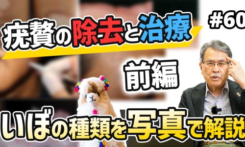 排骨冬瓜山药的功效与作用-排骨冬瓜山药的功效网- 排骨冬瓜山药的功效和作用知识,分享排骨山药冬瓜汤的做法大全家常
